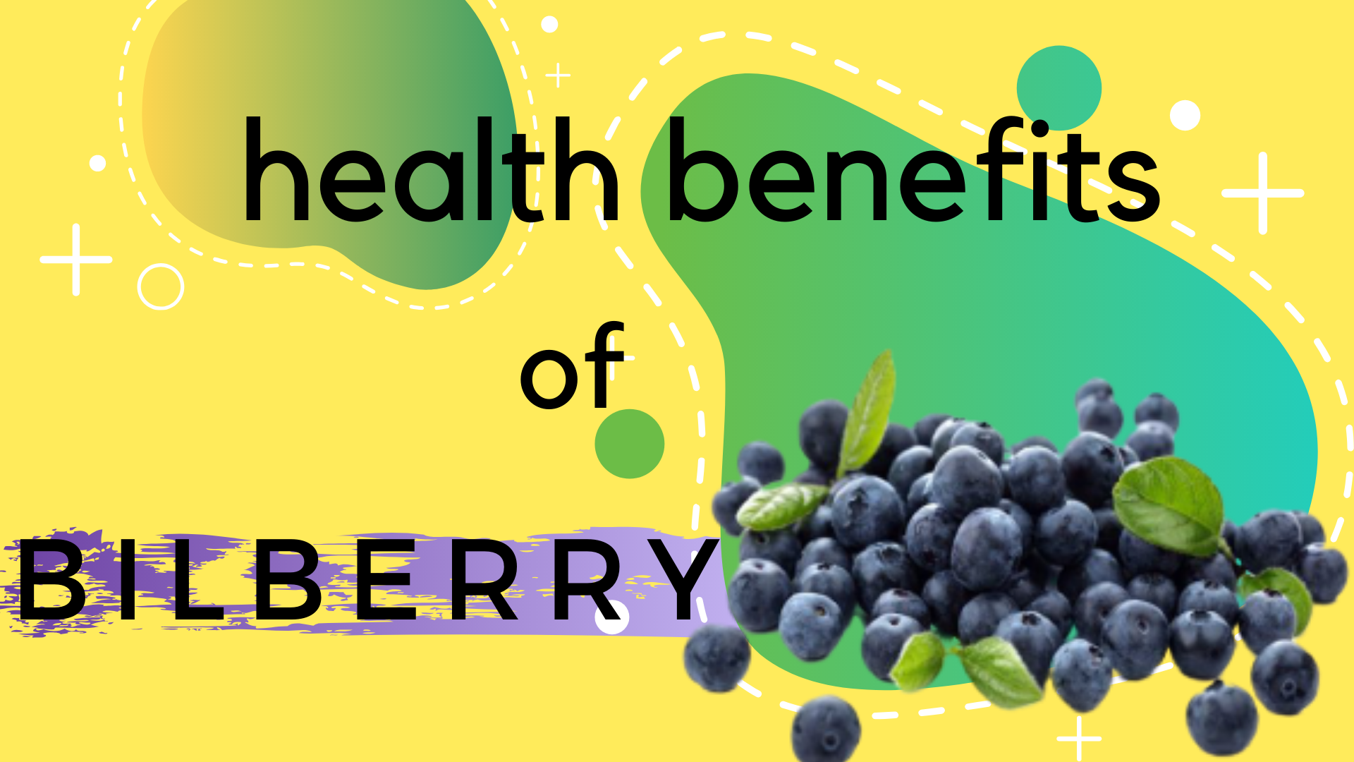 9 Health Benefits of Bilberries